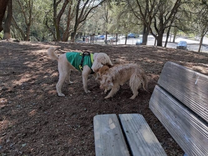 AC9h4nqXSDm3g75uBBCQx01RafxHbBdGhQYuhCcrmjhi4WrNOqybaOeK7akkRWU0HcjDTBbjIr5W OZUxb q7152sHQRmzl0CHGhGzAQTKYB17B1s8pTi8bA77kJwKrmo2t6iAc564dww1600 h1000 k no