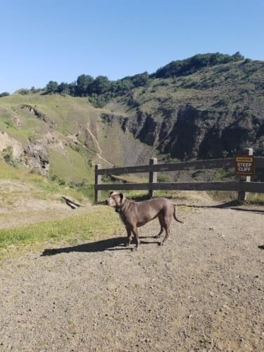 AC9h4nqXgJpwV5IRdnhXkaRDascRWY0GaeLHERd7g5xRtA8kLChZWQ7 2xIcqzj5w0fEf3jJ EdRTeVyU EX17k W3XxN33YyZROH0nUMVVc3AKUG rbfqNxqsVDN6AzDzchbJ0aSsw1600 h1000 k no