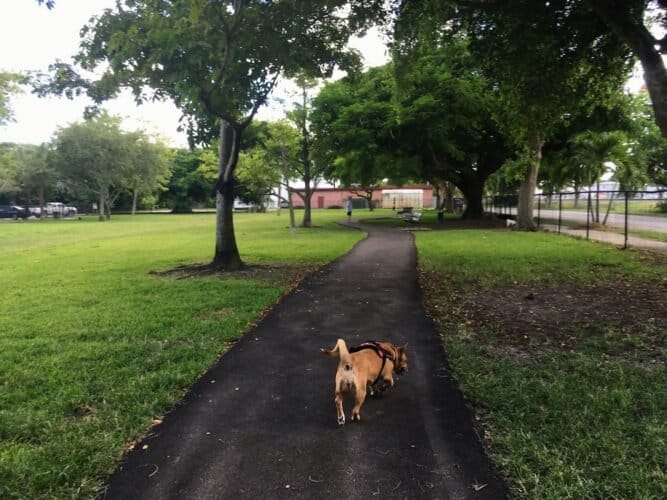 AC9h4nqXlhHePvn CmYtzNN6Njldirzu3zC5owdm6l3Z85swiDo OpRgUzwbtM Y5OEXwEfepDxOS7mwfiOmiYxFKGiLxdLAdB DpCGZ4sz2C2swDfwvso4daiopy7fY0U3hMBbrLoX w1600 h1000 k no