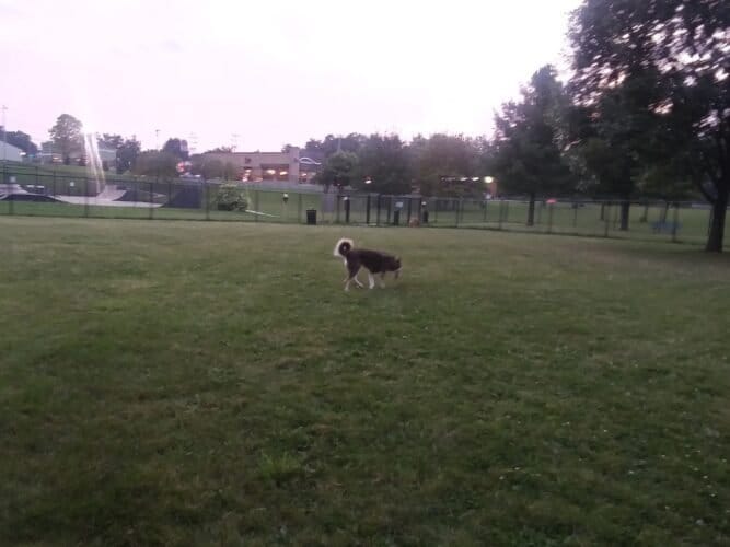 AC9h4nqXqiCf10PERKNWl bDJekQYOzA4 TWdo8yXed0U1LIFj6Me4pHyqTXJns6ej12N4CBzGNwtN8EsqgwIUzp9HSiAoFrY6uZ6JHKxEr1QLTuwtonq vgqdDgtWNopKziYHCaUY2BAw1600 h1000 k no