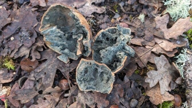 AC9h4nqYKX3EsAXCwb3EDMAVbkKv7TG2MF03gHtHqtLFQsUcj4uvbP izSoBcgL2 C6IVLfM3zMBS1E69Jw8yGI2IdIT JV5vujdrhuTwPv2MIbwMdNiFrRSodtC9FTOcFYWAUzUyNYw1600 h1000 k no