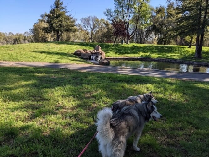 AC9h4nqYY2IFnoFd8LclU7yerVBKfGrXWQEd3lgTpU lRVk41v5wZTMfGFg4hXjHz12 WYXR2p1hGKZf9Ixs2sPtJVYdvHb3Zbi2OY0Xj5EIO9XrOBCynuR1jzfQbJngsTOaAl8GakAw1600 h1000 k no