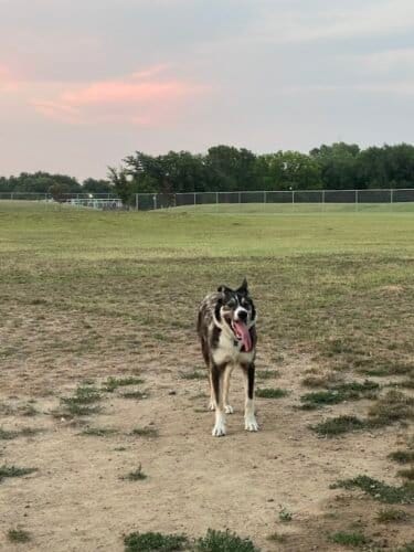 AC9h4nqYfWLRxVZYzWmc2SXmfsLYp2KHp8vczCupv2DSOy0Z 3mih5I3VhhaI10YGjD5J99M bN4XBb8vJ96OnQ6ATHe54Tqc8 MtkmthilvvxLvrZz wL6KI5g4ijqy9Z07F0TH9cnDdAw1600 h1000 k no