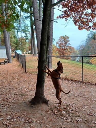 AC9h4nqZ gE4Zag1xqPP36zlCXP11JAeuyJVIbUSlWLZ1KKPkPRsKwlDImyFffA6UKBuJKRkhkvltvveSjxURdb6B3aync4yTf84l rKpp4w1600 h1000 k no