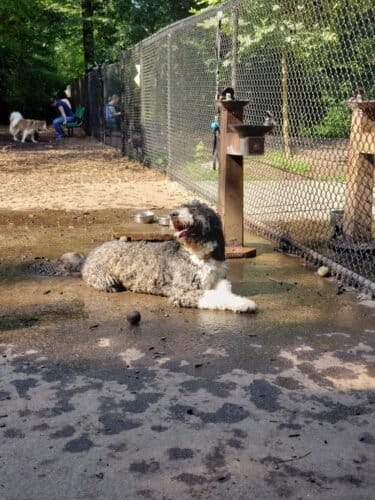 AC9h4nqZ8V4T4RDaFZBj7Gnr9gdne0p7g9CFQ24YuTxaPKP1k5e5LzQBPrGfUXWbwq7r9YcKyv4gCEuobC2aZWnJb8mHZ6lGUzCK 0XKvZx YKjGhJo38am65KKzqbXtQZs4mLcK1KhNw1600 h1000 k no