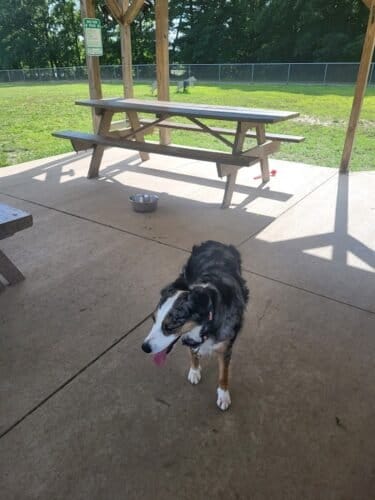 AC9h4nqZ9lmURwNGA uD Hey7uTCzxXJ5FaVQVaN C0Kg NLfm8 3qwbAWJkEYDWRuJuFkm6O bWCosgomeXamOzojMsAcDg1lVMKPcEfDyqy4GO78DkVC4I5YlMQOQLsE0cvMpeh9c7w1600 h1000 k no