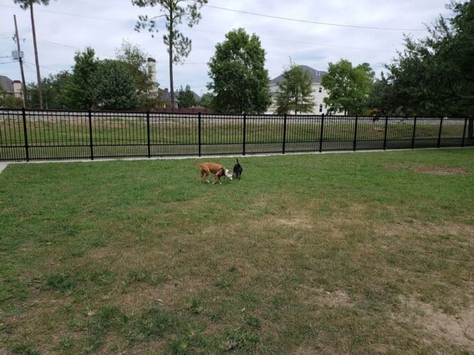 AC9h4nqZCtuXtVFvPt1Jd2Kn8jll0o2QhOszPT357T 5Nv2TwjT1cuHJvfvP4cJVeuRCP  KgJRMX1NtxwcojTI9oOBDdHaXvvW83xPimT05ct VZ4OojYsFyI glf8OmZG6wmYyk gaw1600 h1000 k no