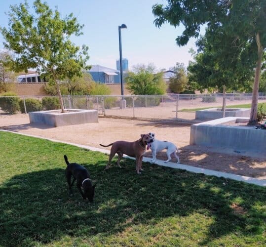 AC9h4nqZGXpYDBmTpkd0u4NuawPNNeZnGVlzfpTzI9HK8tfDd8 jZ 5r2 g57yaGZKcsgNhMpq4SPsq7gSj1sLXenkrFk9CHTdPynoVWb2miAnEvEvaRKTrsqNESTYvpNedfQB1041a9w1600 h1000 k no