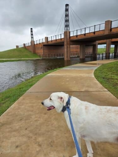 AC9h4nqZNzyxhEuMLhOnh1jIkdyStfpQ7ZfOQE4eLgqEZqHee TiCeEh6BxvffXGocgi1fUu7wzk VAXMwPOz9URFTs4pmdgyCEIRgOdwqdvNA7LixMnB ITShlDj VDfd NfbNJu0qvpw Z qMw1600 h1000 k no