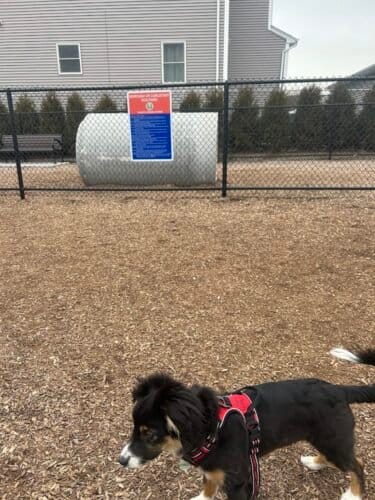 AC9h4nqZZ6qvh5Sy7mbpiJmLdoKUM1JOSdW  zy7EM0w6n1r78vFI1LwURrSweaqUzHmk8NTntwW2DAUbnJ4J  U4mdqA Ftr dLB9eYAP4lvKVupGoasqI9ApPmiBOUsIvkIMeR3XuHw1600 h1000 k no