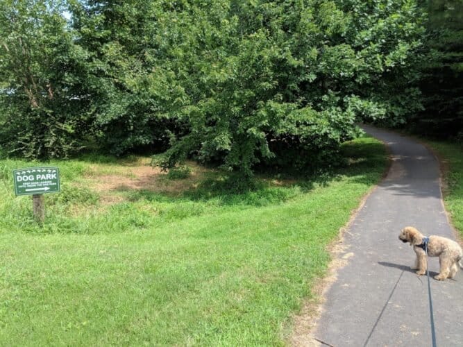 AC9h4nqZdJbX9LlKyEnL9VS4GrlP0 T4zDnFENohZDChFDRUgO0JDFHi2FwYk8aRz pYG19JZCjyA8dPz2jHzZF hUO7bbtpdYuvhLnAJuGANOIKXoOBBktGFTVdJQ FgVJjC8tLyf2BhQw1600 h1000 k no