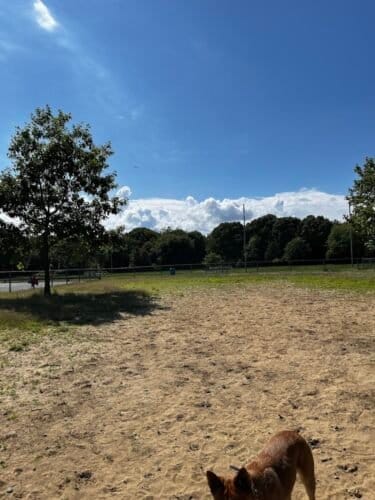 AC9h4nqZdQ7gjYQAzm 1HbY 27jbMBDP9lPbxrnZFJJ3ONkEiTxtFY o7Cb U rM70XWEHctOmgrYnD8TlVY1CbYz1NVjGkIzpVRuW3isjIhA6KDgjKav1nhXxLtsqn7JdpaP1bIEGefmQw1600 h1000 k no