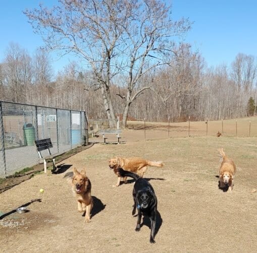 AC9h4nqZfSF20OJ7ZkaZQLSiwnGCx0j45WTNJu Ygs36SgynEItyXG3i2Gex8anJBWjz vOeNdTlZt seXAknfP949pYHyxetPR HoycmRsw1600 h1000 k no