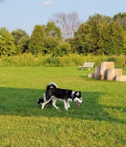 AC9h4nqZomSf 3rCXuLSRuqX yGBxFD9BKsEYiEen16TgX2fL7QDAQ07hLI9lEo4ddf 970AWdQ6N9TuyM1Pq5d9dpSCSIxV5XiWoQZD3lxU2 DB 7w8VjcWFKX7 gx5krfM4gw5iyxuw1600 h1000 k no