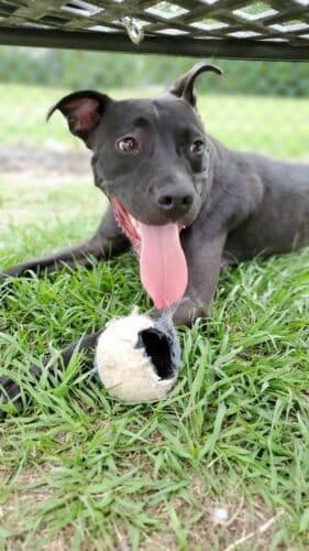 AC9h4nqZpuA3ntUPp57 W73udwM Sk4v8k4A7cEgvP4A329TKaOTvVDX lvo69aKAK0l5qVttK4JKT1Rd b0Wa9LI jcoAVWhPqP3KMB96aVUQfv7r64aMykdlctmtk8B80sv9sQU6bJQw1600 h1000 k no