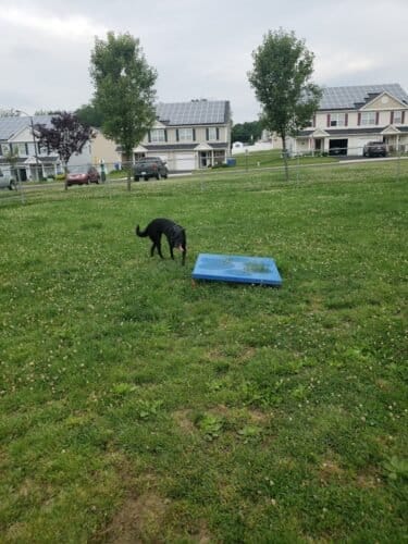 AC9h4nq Gtn11UyA2Lxh0mx8y2nk4oaY2BvlXQfGL1up7KxVArJAh7XkWvlEgKwBevDodq27EWeyu9JNeOyGaUMZ6PoXoScxI6byYPguzJ2CUEh3TVv8ctCFFcizsPotBYFPejX6pfdAw1600 h1000 k no