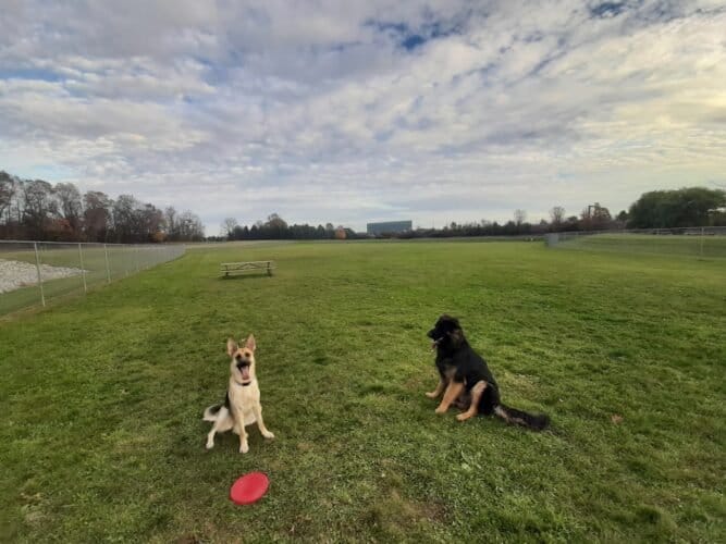 AC9h4nq Orf27ykYJn06ajI 7UWrtFr49xlReKJH29BABa0PejpVbxMaBvBcwBNY05L iPooosgaxX2DmghliM0JGjbTb QkhgCqLnsb2rdOC1SCaamLVKHh0sqvNZW3UeJETuA6Sqfdw1600 h1000 k no