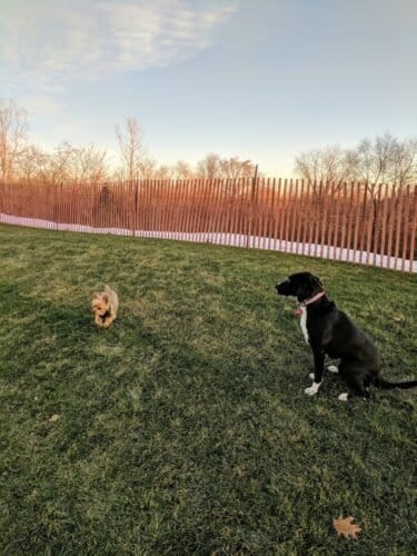 AC9h4nq PgKId0TBgmiGGkc9PZtTenyKVjySHV6gNf2JAT WOL7wjHkws jdhiDYAEtW4ORaDoz2Uh4l9 d5Kl8q7psgOPMDrw3iWi9n1I7Kk8I38Pdxq2tmhAh kmtGYBvc9Nkwdmq w1600 h1000 k no