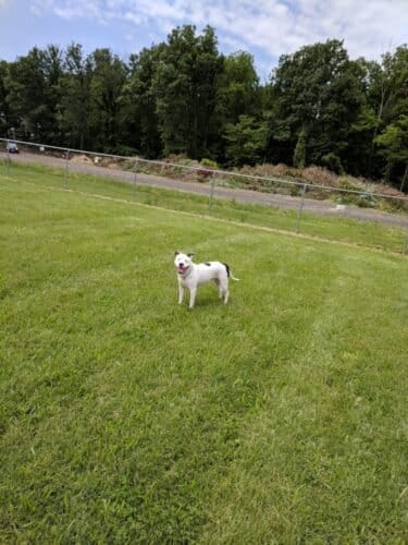 AC9h4nq SEk xTesdbUEAKIF9nh8r1GyzfAvuEpPh5aHjx9ipr6baV15UCPpd9tOri0i7JQS8UF6N1yckyoNWrzg5fnz2dzSlY8bvXjXF12zeF1jwgrrBfC6qG3Pmg QJY3JASfnJN NEAw1600 h1000 k no