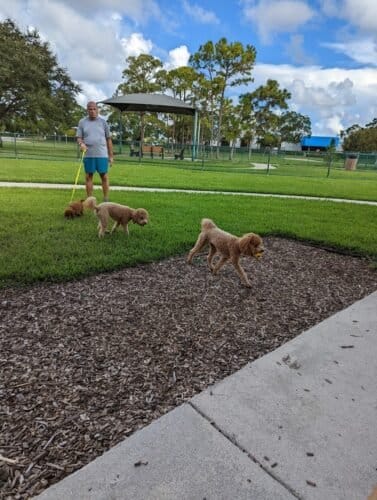 AC9h4nq ZlrUMqs8JueXDG43E f41GezjsvuHQJgK4GL61J3YsHySNk40Ycuzzu9YbksC7yMkRNgBLqMVoOw1YfFrCHK7eSReYX6q9 P2BQeIpt6ldVKrta1nKx7AFZhryHV5LdGFUZKw1600 h1000 k no