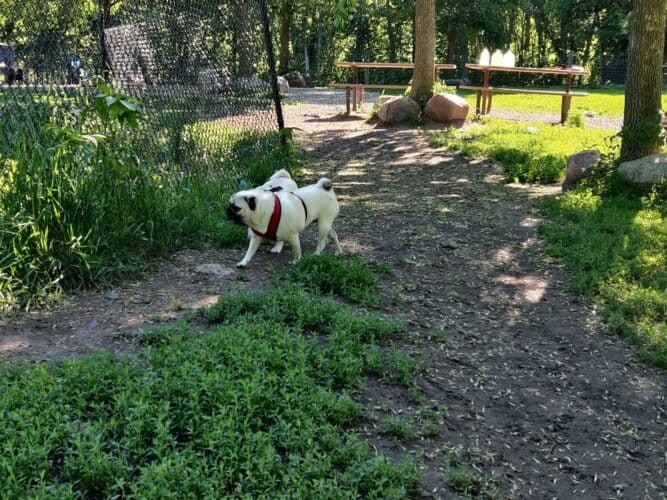 AC9h4nq yiV1MwDTuXZDem2r3tXjloo6fbMkZOAYrGLpbmcLmASwgvZB 5aY4Q3cJWGqCqrsE7c5kuuiKGFKCOGre72N9 GmyMZ6sCqXX1O4LR1YQ99mQ5wxHUjW5H8iZGGPJG X7Ar3w1600 h1000 k no