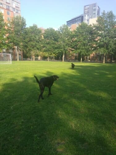 AC9h4nqa4B ICLfhYxhKgNZDr26YpXkx87nDg Tfm9V7EK13PBU9KfkXJX59lcCAkF3iGHmAJIMbqgAvwGartB4vVxBHVF4KiuwkbWq0tuJZcpHHO8E umKFZjQPaKpJHQ1VSlS206WeVQw1600 h1000 k no