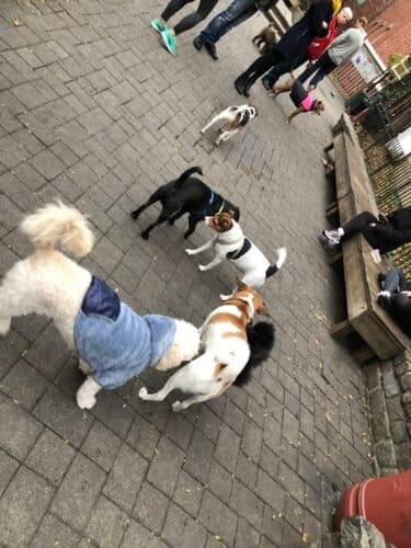 AC9h4nqa8ks89B iOvZs48f2ouL2xdTQQyrnAjW1FT hZNvaL4bkJWYBEsV hovpYXkzqqMr6Q0E2SsI hz919VontDw4czOyiLjf7WvfJcGdkSmY7S0j9SfDZfGqWk4CZjtTkj16oKr7gw1600 h1000 k no