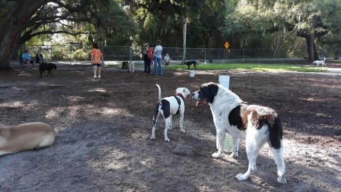 AC9h4nqaJZEkEAEOLNdpHWp6DTSVdWcEcPMaFRtIfVdNX7Y0cecxE2M4LrMODg9Z9yJTqiSeCDeJrrAtCZKji7TMbL7KF7EEew9ytd4sztGHpYROXcYN iXd52Zh5sP5KB2l5mHZIeFjHQw1600 h1000 k no