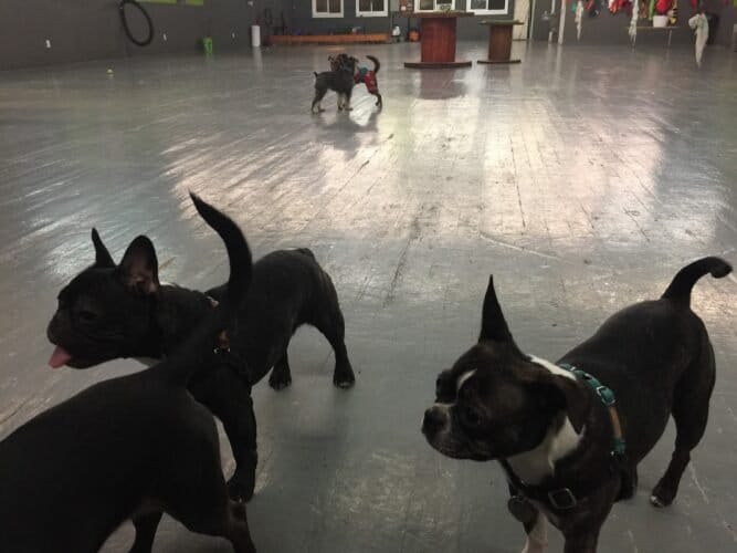 AC9h4nqaOVo9CayQqWsqjJkKo9v5Mlz1SUJIARhxLeZnrAPJYwn78iJixsTQJLHM8WizvJSHcM2C1Ye5YgYt2HaA3ED8gwwj8q3qap5Ujww1600 h1000 k no