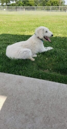 AC9h4nqaQLbuzKLEPbZAjuWb fRPBs6y7L4mDXSLbwtj3OL  NXf8UOJSbaJzC nrCwDA0lpJPMRVdnpp5uC sUIg  5a 687zMBKUKcdrSP1XEzPC7QYVAfBitPSz1jtAWKqwAa8RwQmAw1600 h1000 k no