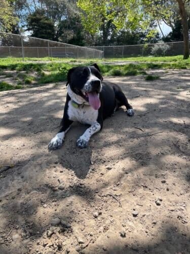 AC9h4nqaUsqI14 q L4V0mz72AAxIFn2o4Twe XNT6MxAS99kAxnGvfEJ2 0NAwLAOGrAqirHJeSUubgOls79dRgr2JjRvA7DGuK t3jAEyH1pa1wroOZ6JnTitfRG5FJ7KC5zApENPwzww1600 h1000 k no