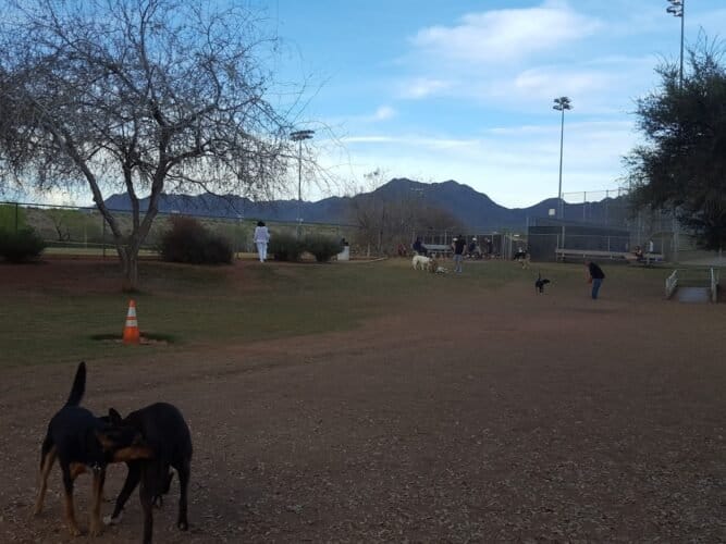 AC9h4nqawgvmSGsDhmgdZSsVRXV47QiD2C3DuJEnpGu1hv7aXdGLj3OqbVfyKQA81PxFa cXYEL1 B AaRXTSo2Jp6woxjPj4ELMrUAq1IDpMa9oeMltekxa6XGUEVsJhwSA8ZJVIcgJQAw1600 h1000 k no