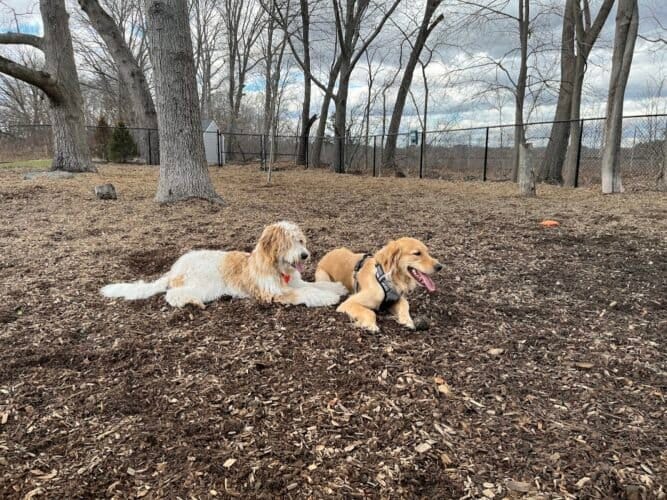 AC9h4nqazCAAKNDXXc 0XQ9iqmPPLUAyOC54CfDB07PDJEYjPl1lLxuCeZIbrL320y1qDz5HjXHgM0kxyJ4cYEdo3OVZ DYokP8icqeypuW2jLNYwzMyfonrFm0TsNlZuv12e6NfGg6Iw1600 h1000 k no