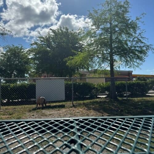 AC9h4nqazrCwOTBy5o50fTGac0 Ub LH h8RKek33Lj4BgJ3VxHMaPnay9KfMl8Q L0sqUStwKz5tQ7f4DZhyvla9oTQGr4aEp2jzq IuIJ6x8llcCi2Nb0kyuoqLJWnVUgXIakth P8UAw1600 h1000 k no