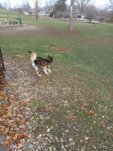 AC9h4nqb3DMhn0hQteoRcLlKWdzZh2qEs7elQf CW3uCyz0ZbOwjyaIa6s7UzMerY 9TSj7C2EM75U4AwwnYlVl4o4EEGDg3kRB8EC6v9KUZCHwnyDjge89wG9AsyFXPHb7L mnCr6zVhAw1600 h1000 k no