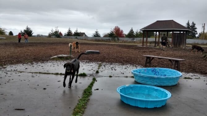 AC9h4nqb974LgbPeegDba6d5UfYU 04etuWBszmrk7J46xWAUN EBdIX dZ1cMzzBV2zqX7PXBKvSsWUI01Jy FiFF5IOQUUjVcQ8u6UgJkw1600 h1000 k no