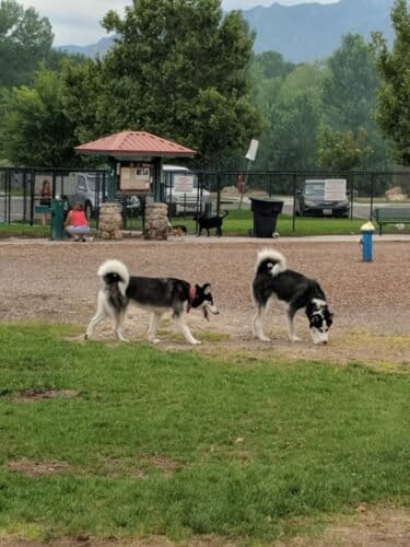 AC9h4nqbKttmg2gQNqvDlEBx AyqA62ndjl12PFVHYcYgyfMclF0ZdvDNGkYrREAzQGLW1g5My0JaKg3eTUBszic5UOnUBLDFLRwVJv yb45pEhEd4gniQRVHo5LTffZvZQe tCaZh5Kw1600 h1000 k no