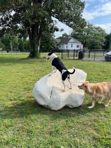 AC9h4nqbSNKzZHXykIsFZCk Aow G1OjDUTIxgEbPkK1qAC96AWUAVSG3h2Ei4q6KKplIopAAHDGjP4 FYk bpRtZRzCGkM4g8iCRPPmKWi4FeG5k5tttctbdIExDDEHhgQVrNef8sT3w1600 h1000 k no