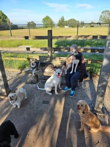 AC9h4nqbUDJ OtsVzqq5ymn3dS 9w3yUl gHs7HHHSIfc3z7VuDee5rxbMECmou9 UMXkA0Ub3zak GZANFtDDvhfsDZ eWUCfVYcbGAcKfIe9rD0FCToiyN6nSp2aRXOeDpWiYaAWfxw1600 h1000 k no