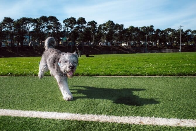 AC9h4nqbVnRpsq1VkaDSo3UTccoaqt7LID419bCZNtkH35QyPB96OXD27gKn7tf8AQFLvc1loIhfTOZv0JtQaF16djAWtzWf7bRUAQf w1600 h1000 k no