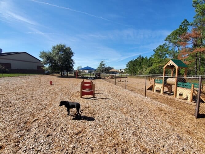 AC9h4nqbcaJCjb8TmMSfbQbUeKK5j3sh9 WsnNnXqJ QlLFEm7sx51ud5 EyIkYBA2ufJmOVCtC mVcQ395sN9xjDKwJPqkjUoasDgHfCvsYD CNPhNXbQrqxdFxA2jifJdHVAchcjMstww1600 h1000 k no