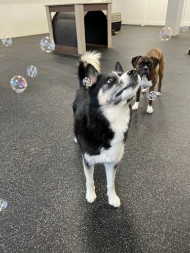 AC9h4nqbll9fu HczrHuucefnKBLTEc1DgWy29LPB3637fWueG5V gMQ9FnBiWxIQODYQQX54d uM6L2JYUqCLpZ6E2LIteitX1vm2NuTrrXXu8Uash duPt36DPzUtY2Uy2Eb9RxJlVw1600 h1000 k no