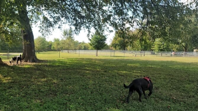 AC9h4nqbr psqYBTvh1XYBWlZn05 o1fIeBdQYqMZfsay8SpkX5ANapHibMsjzLOSzBaKIlyZF0BNgjnO4aCfeXFB35tIeY9HhMlT2U3shSBBaJP5i7ylAnRXX4H19M U9k831UFB4vlEww1600 h1000 k no