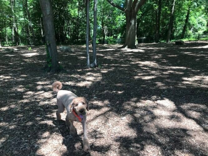 AC9h4nqbwFSfpeQ2clYWfEDI1TMDwn3ZjJskIfqT8XKQI9XOca2vKNn1SReBT4zIFl1 wRjVufOYzCRuQv9NRPQhEOUek0luzDXMvIjEaJo1s7oGKWmpGVia6vig AmciOMS pdPCXHB2ww1600 h1000 k no