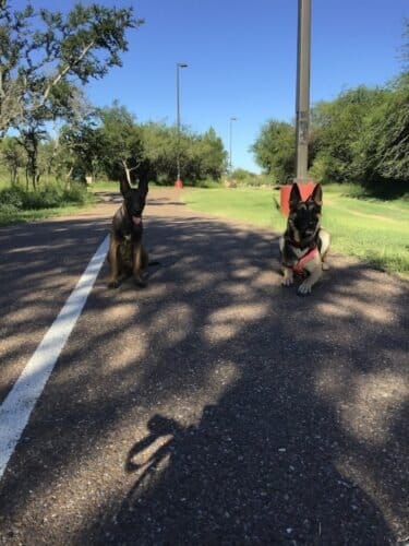 AC9h4nqbxQA0I0DpcrlBzMRXlnN30ogoUjEcvVcU wN4ZjZGDuvuCE zP89Uud4YpdUtWT8cJclKJZi0PJT6g2UkdOgX6bxV15sGMPk0mH rxdU0PAR8nyXGng9 l 6eMlxG2 j08NWRUgw1600 h1000 k no