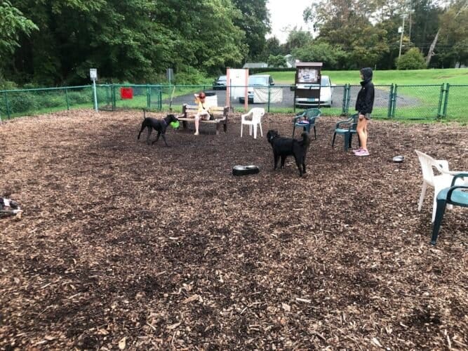 AC9h4nqbyBs5wjnLe7uEDEJr9xar2KbEEZYHgPQaj aN3HagkRW08 XiSW1BD6nzoblIDKjwMIYx3H990zsv2ug HlypUYFhhuLhvj0I5qStWNHqT wRQRnlD4nJCg 291mDRO1svGwiYQw1600 h1000 k no