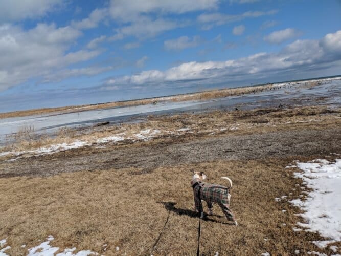 AC9h4nqcL4 pvhSijvy488e7BgMSLhPiOWEnNA4rxA8tPPqv7FULYQ1HOR5w5EXc6x415aMKDzoglkgydl712ODwyztN5mT dEYJedj1u3Uw1600 h1000 k no