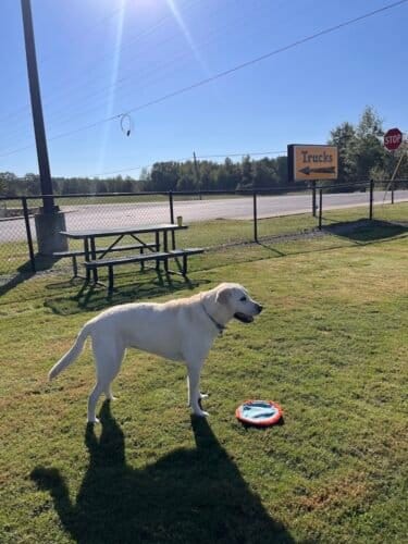 AC9h4nqcUzKFta8IJDhIyq2zcbr4Dhe21sGHwM5o19MgoqbSxkoe7pIqtezBeYTuDY2sEAChx6YPCctl1KlMTf q9BXlNR16jQTczFlX5d9ouKDXRiz6z9o127IDwGuE f0AqvbG9tMw1600 h1000 k no