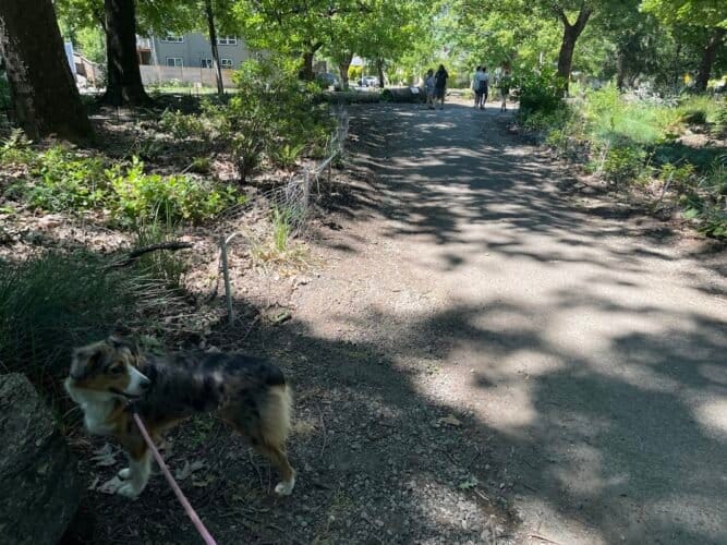 AC9h4nqcqiU3p6limLx5yvCBdsBbHt4iLBrHk6v5kSMST9Din Bd30UmU2IsiVs9 eKO4wGSd qh7qk0yEWvUIoQOrJ9 IYtK rQnwG j2WlLHckSTT6CNFyDSlPslGI90dTKncCB NSqAw1600 h1000 k no