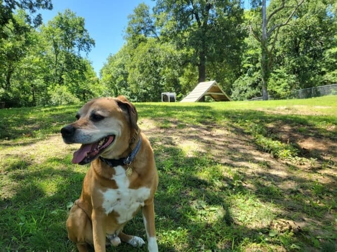 AC9h4nqcs6QMBZOlF2FziTEbk8YuSeHX Owed JGmZeS8T7qJTQSFt4LbocXgF2Tkqd9m4xFNwUA6l46egky718ZSxMEeJIRE4wxiRqmRg3cVIYRMO0VTppWeRpVt7tVzAY79XfXYOcw1600 h1000 k no